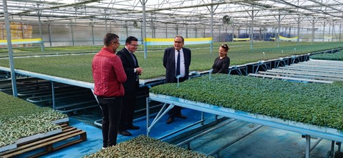 Kaymakamımız Mehmet OKUR S.S. Bursa Fide Agro Turizm Kadın Kooperatifini Ziyaret Etti
